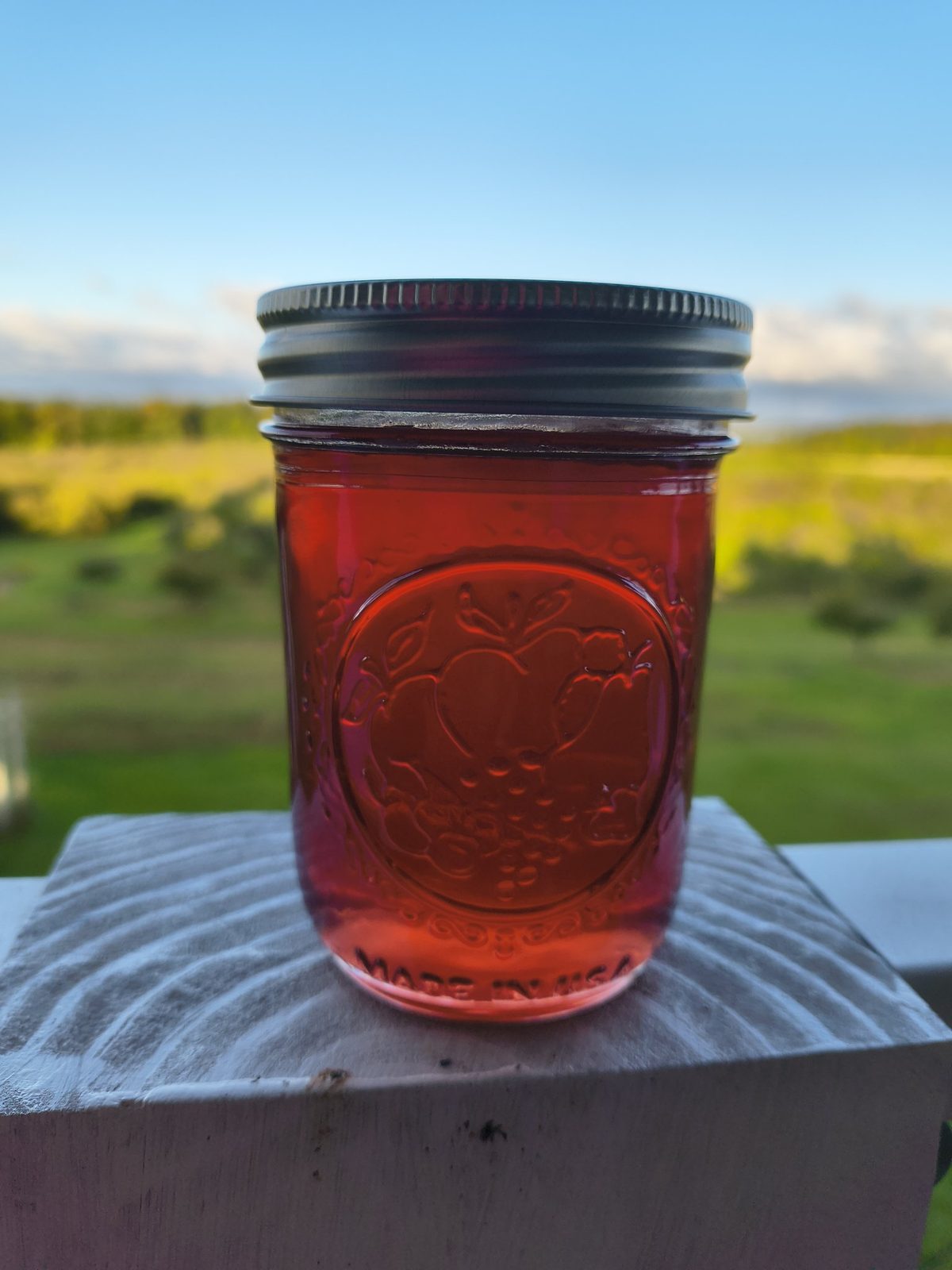 Pinot Gris jelly made from our grapes